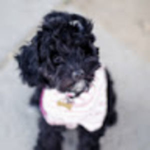 Meet your Posher, Marcus